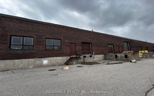 111 Martin Ross Ave #5